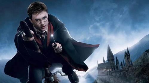 哈利波特衣服最新爆料图,魔法世界时尚潮流大起底